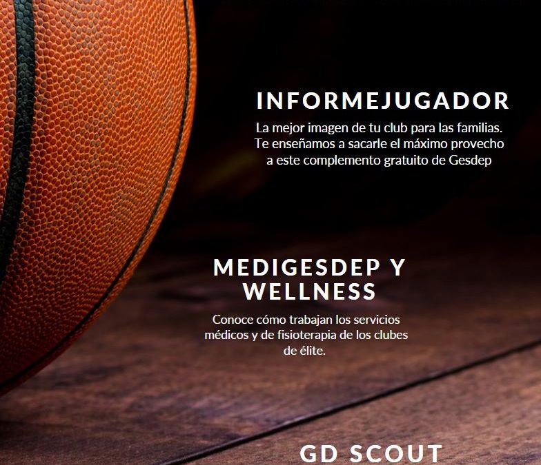 Segundo número de la revista Gesdep